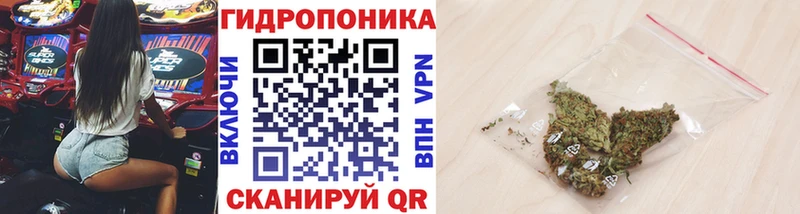 Бошки марихуана Amnesia Пикалёво